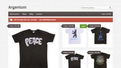 Photo of [Download-S2] Argentum - WooThemes Premium Wordpress Theme