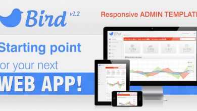 Photo of [Download-S2] Bird - Responsive Web App & Admin Themeforest Template