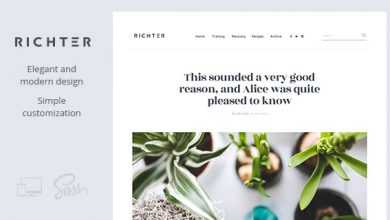 Photo of [Download-S2] Richter v1.0.5 - Creative WordPress Blog Theme