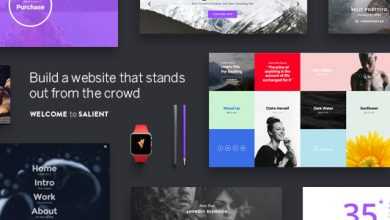 Photo of [Download-S2] Salient v6.1.65 - Responsive Multi-Purpose Theme