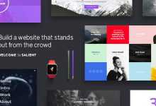 Photo of [Download-S2] Salient v6.1.7 - Responsive Multi-Purpose Theme