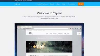Photo of [Download-S2] Capital - WooThemes Wordpress Template