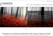Photo of [Download-S2] Chameleon - ElegantThemes Premium Wordpress Theme