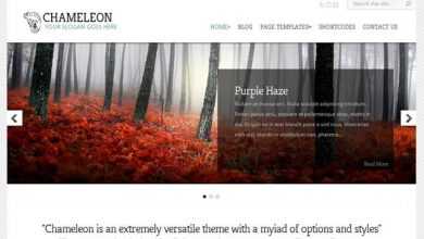 Photo of [Download-S2] Chameleon - ElegantThemes Premium Wordpress Theme