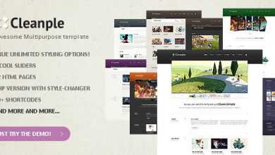 Photo of [Download-S2] Cleanple - Fantastic multipurpose website Themeforest