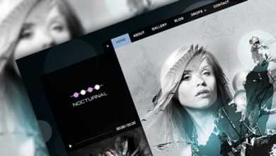 Photo of [Download-S2] Nocturnal v2.1.4 - Premier Audio WP Theme