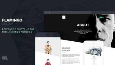 Photo of [Download-S2] Flamingo v1.5 - Agency & Freelance Portfolio Theme