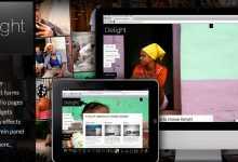 Photo of [Download-S2] Delight 3.4.2 Fullscreen WP Portfolio Themeforest Theme