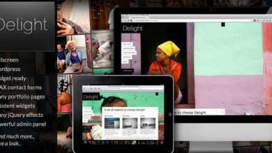 Photo of [Download-S2] Delight 3.4.2 Fullscreen WP Portfolio Themeforest Theme