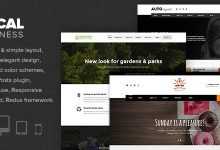 Photo of [Download-S2] Local Business - WP Theme for Small businesses