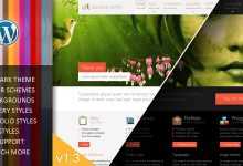 Photo of [Download-S2] Duotive 2WO - All in One Wordpress Themeforest Theme