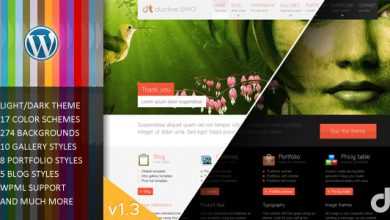 Photo of [Download-S2] Duotive 2WO - All in One Wordpress Themeforest Theme