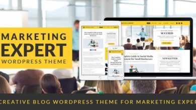 Photo of [Download-S2] Expert v1.2.1 - Blog Wordpress Theme for Marketer