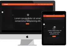 Photo of [Download-S2] Ladybird – Hotbootstrap Art and Advertising Studio