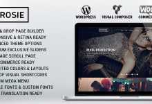 Photo of [Download-S2] ROSIE v2.3 - Multi-Purpose WordPress Theme