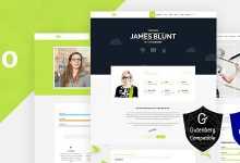 Photo of [Download-S2] Bio v1.5 - Resume, CV, Freelancer WordPress Theme