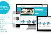 Photo of [Download-S2] Elegantica - Responsive Business Themeforest WP Theme