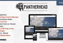 Photo of [Download-S2] PantherHead - Premium Business & Portfolio Theme