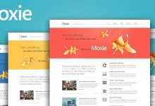 Photo of [Download-S2] Moxie - Themeforest Responsive Theme for WordPress