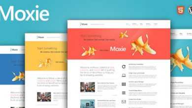Photo of [Download-S2] Moxie - Themeforest Responsive Theme for WordPress