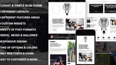 Photo of [Download-S2] Owl - Personal Responsive WordPress Blog Theme
