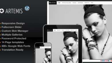 Photo of [Download-S2] Artemis Themeforest Photography Gallery Portfolio Theme