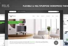 Photo of [Download-S2] Felis - Themeforest Flexible & Multipurpose WP Theme
