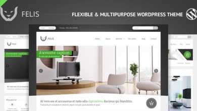 Photo of [Download-S2] Felis - Themeforest Flexible & Multipurpose WP Theme