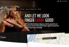 Photo of [Download-S2] Firebird - Themeforest Premium Theme