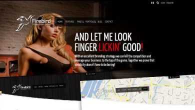 Photo of [Download-S2] Firebird - Themeforest Premium Theme