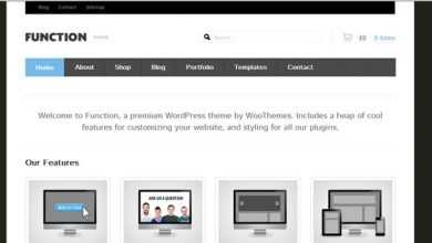 Photo of [Download-S2] Function - WooThemes Wordpres Template