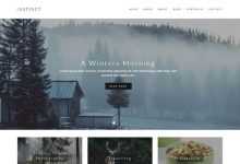 Photo of [Download-S2] Instinct - Blog & Portfolio Template