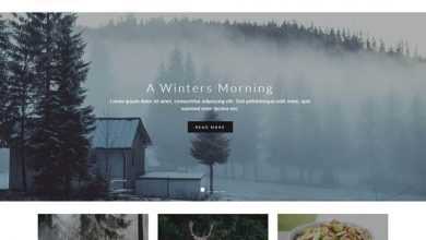 Photo of [Download-S2] Instinct - Blog & Portfolio Template