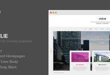 Photo of [Download-S2] Amelie - WP Theme for Creatives & Photographers