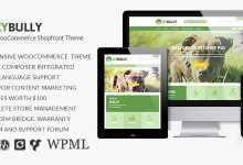 Photo of [Download-S2] Kybully v2.0 - Responsive WooCommerce Shopfront Theme