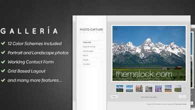 Photo of [Download-S2] Themeforest Galleria - Photography and Portfolio Template