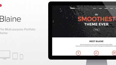 Photo of [Download-S2] Blaine - Themeforest Multipurpose Portfolio theme