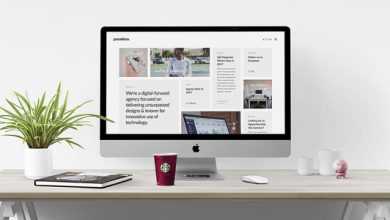 Photo of [Download-S2] Pasadena v1.0 - Contemporary Portfolio WordPress Theme