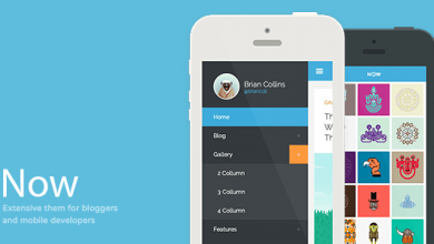 Photo of [Download-S2] Now - Extensive WP Theme For Bloggers & Developers