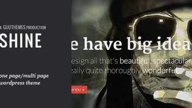 Photo of [Download-S2] SHINE - Responsive Portfolio WordPress Theme