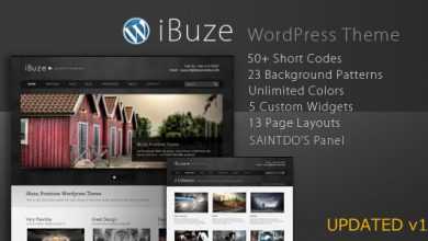 Photo of [Download-S2] iBuze, Premium Themeforest WordPress Theme