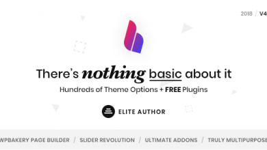 Photo of [Download-S2] Basix v4.0.1.30 - Multipurpose Responsive WordPress Theme