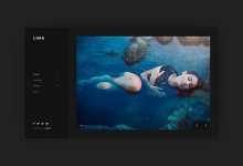 Photo of [Download-S2] Lima v1.0.2 - Night Mode WordPress Theme for Elementor