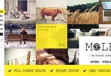 Photo of [Download-S2] Moler - Full Screen Portfolio Template