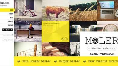 Photo of [Download-S2] Moler - Full Screen Portfolio Template
