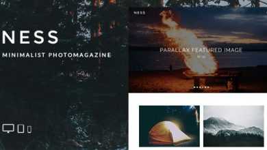 Photo of [Download-S2] Ness - Minimalist Photo Magazine WordPress Theme