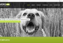Photo of [Download-S2] Universfolio - Themeforest Multipurpose HTML5 & CSS3 Template