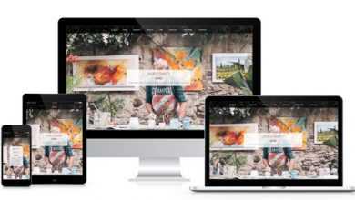 Photo of [Download-S2] Artist - Person Page Responsive Template