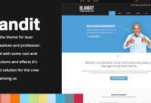 Photo of [Download-S2] Blandit – Themeforest WordPress Business Portfolio Theme