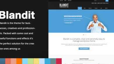 Photo of [Download-S2] Blandit – Themeforest WordPress Business Portfolio Theme